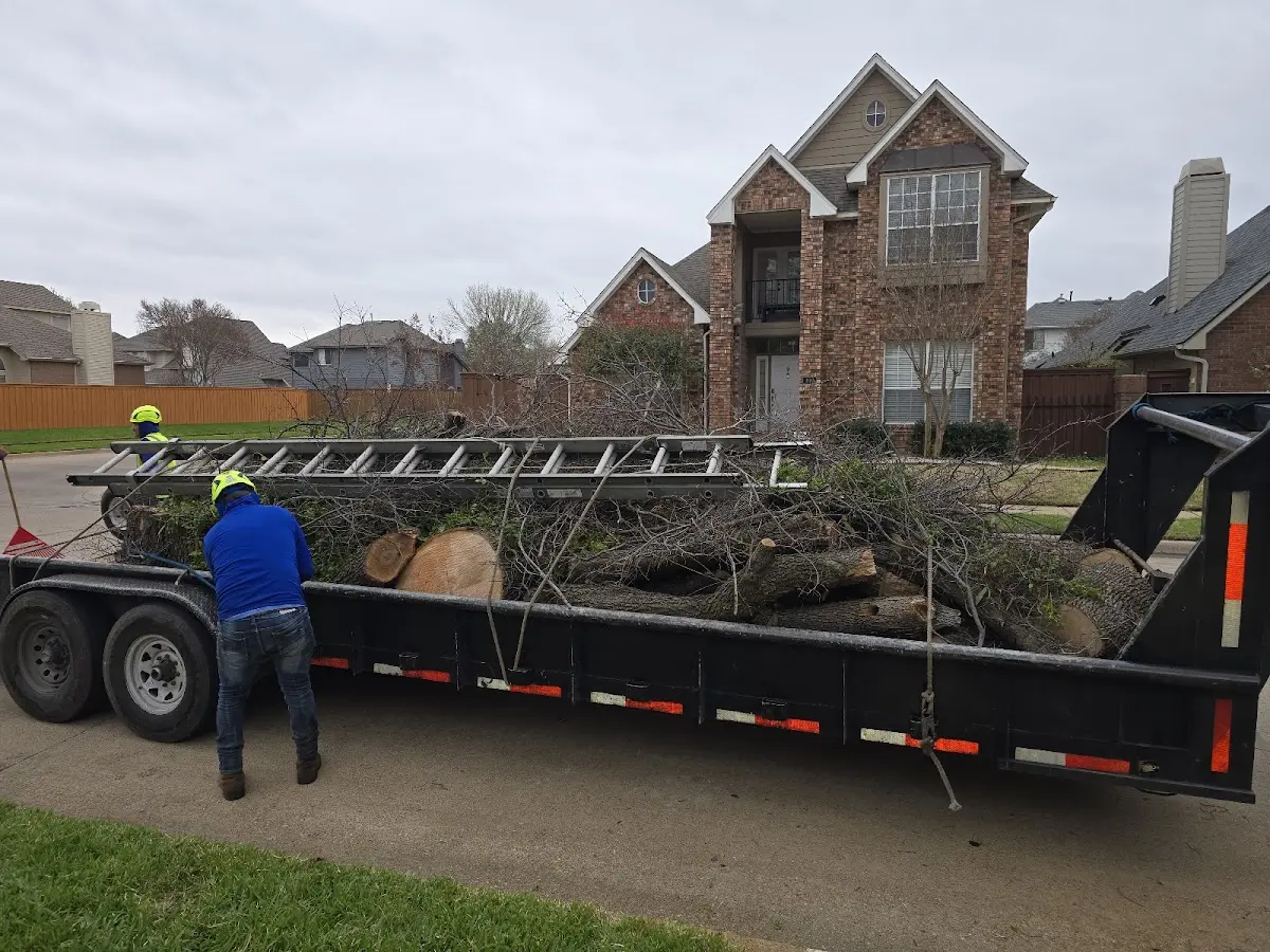 Expert Lot Clearing with proper safety equipment in Moira